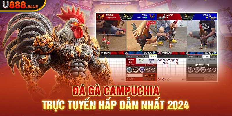 Đá gà Campuchia trực tuyến hấp dẫn nhất 2024