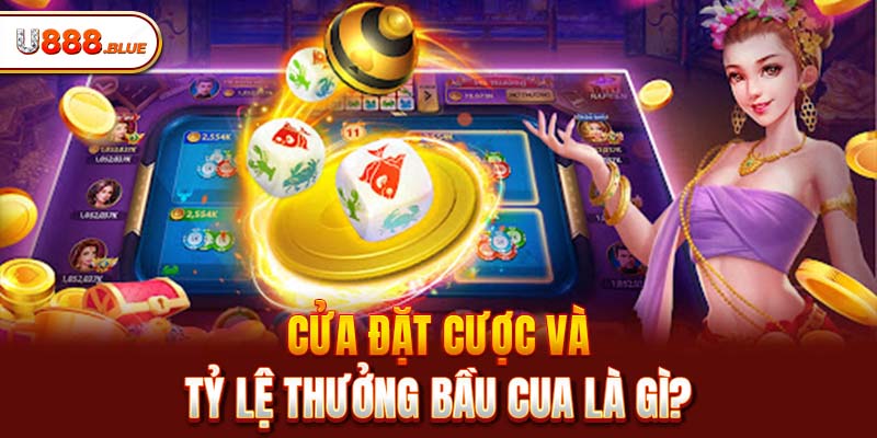 Cửa đặt cược và tỷ lệ thưởng Bầu Cua là gì?